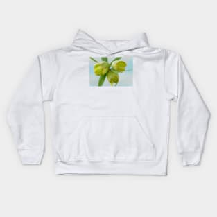 Fritillaria pontica  AGM  Fritillary Kids Hoodie